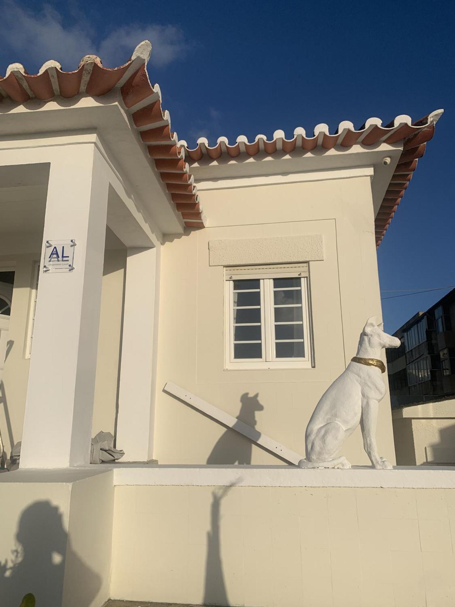 Casa Do Cao Da Praia Do Furadouro Овар Екстер'єр фото
